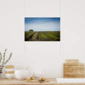 Poster Lignes de lavande après l'affiche de récolte (Cuisine)