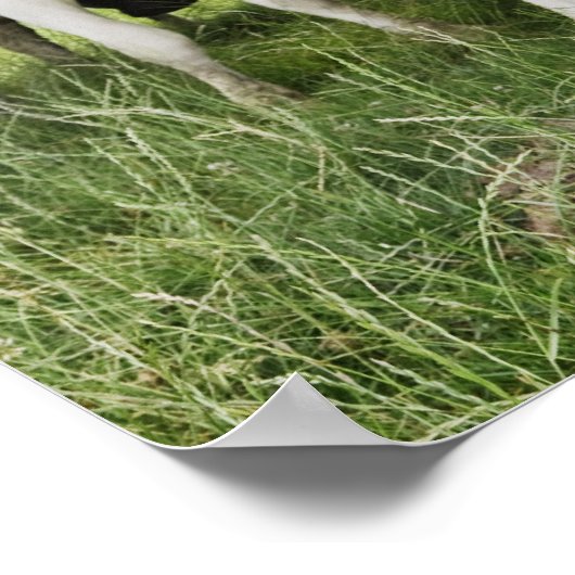 Poster Lignes d'une ligne (Coin)