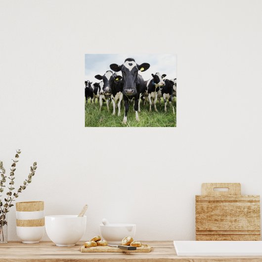 Poster Lignes d'une ligne (Cuisine)