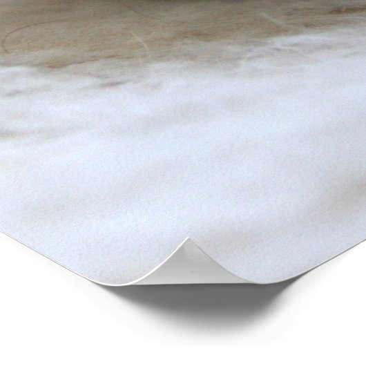 Poster Lil Black Kitten (Coin)