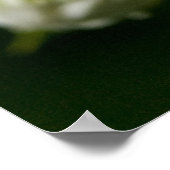 Poster Li'l Daisy (Coin)