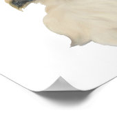 Poster Lil Peke St Paddy (Coin)