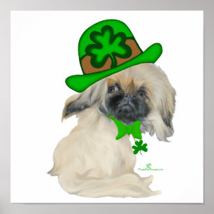 Poster Lil Peke St Paddy