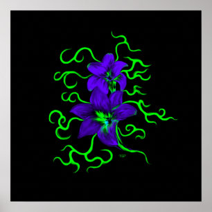 Poster lila Lilie Blume