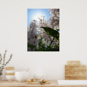 Poster Lilac (Cuisine)