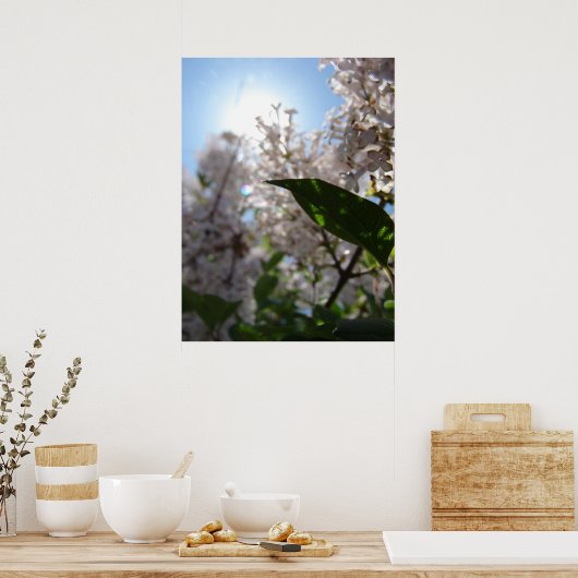 Poster Lilac (Cuisine)