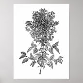 Poster Lilac (Devant)