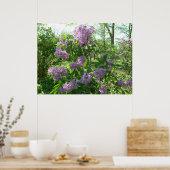 Poster Lilac Beauty (Cuisine)
