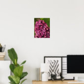 Poster Lilac commun (Bureau à domicile)