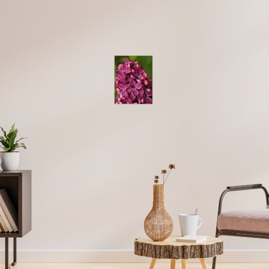 Poster Lilac commun (Salon 3)