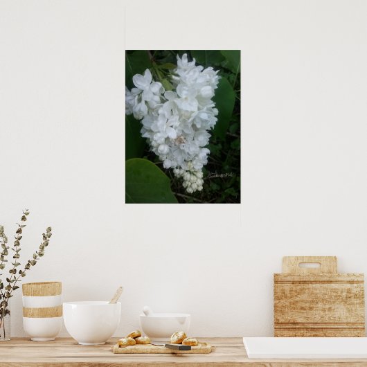 Poster Lilac en forme de coeur (Cuisine)