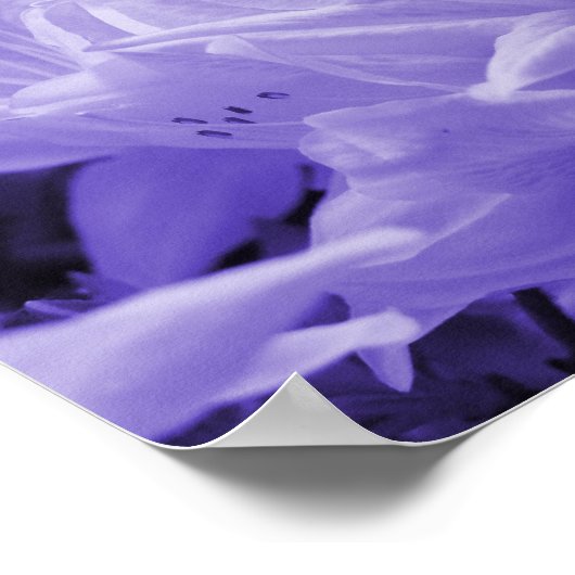 Poster Lilac Lilies Imprimer (Coin)