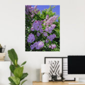 Poster Lilacs (Bureau à domicile)