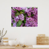 POSTER - Lilacs au printemps - France (Cuisine)