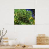 Poster Lilacs de Vincent van Gogh, Fleurs de Jardin Vinta (Cuisine)