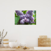 Poster Lilacs français (Cuisine)