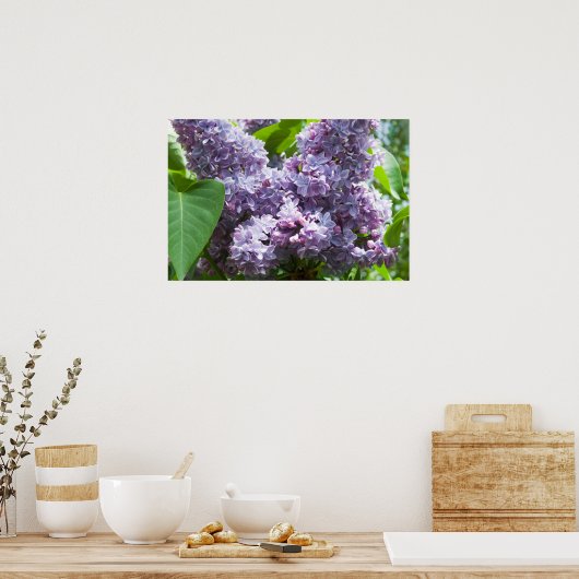Poster Lilacs français (Cuisine)