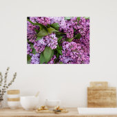 POSTER - Lilacs in Spring- Frankrijk (Keuken)