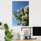 Poster Lilas des jardins , Arbre à fleurs de lilas blanc (Bureau à domicile)