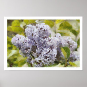 Poster Lilas pourpre