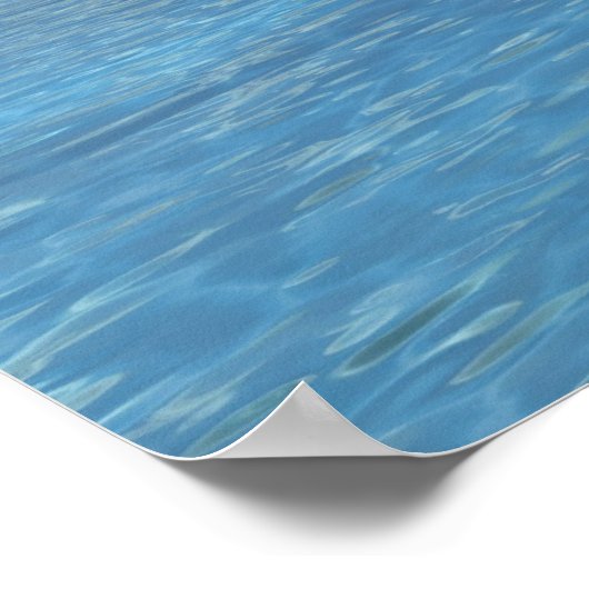 Poster L'île (Coin)