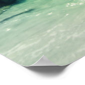 Poster L'île Anna Maria (Coin)