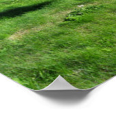 Poster L'île de Benbecula (Beinn nam Fadhla) (Coin)