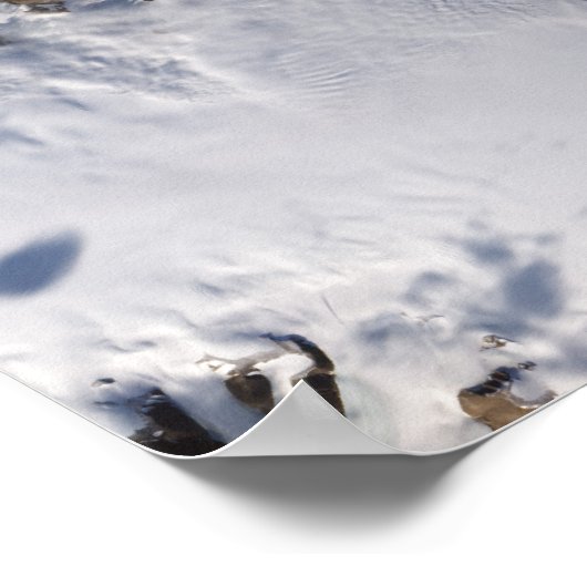 Poster L'île de glace (Coin)