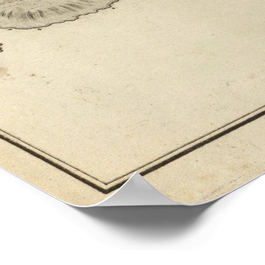 Poster L'île de Pâques (Coin)