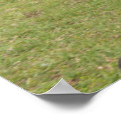 Poster L'île de Pâques aka Rapa Nui (Coin)