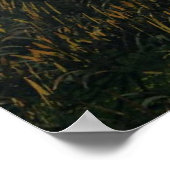 Poster L'île Dino (Coin)