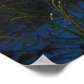 Poster L'île d'Okaloosa (Coin)