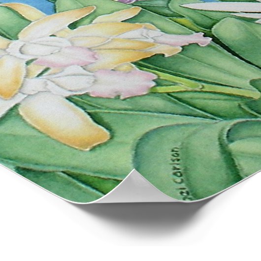 Poster L'île tropicale (Coin)