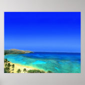 Poster L'île tropicale (Devant)