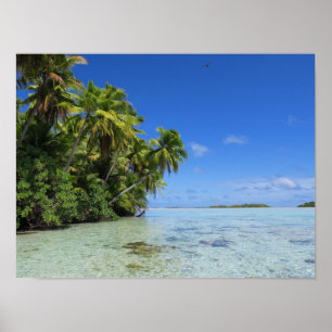 Poster L'île tropicale de Rangiroa