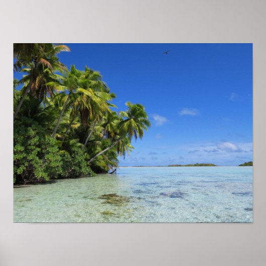 Poster L'île tropicale de Rangiroa (Devant)