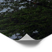 Poster L'île Wild Goose (Coin)