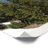 Poster L'île Wizard sur le lac Crater (Coin)