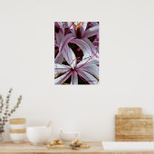 Poster Lilies (Cuisine)