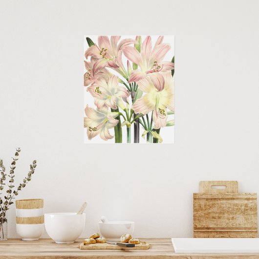 Poster Lilies Imprimer par Pierre-Joseph Redouté (Cuisine)