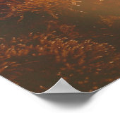 Poster Lilies magiques - (Coin)