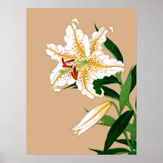 Poster Liliy japonaise vintage. Blanc, vert et beige n