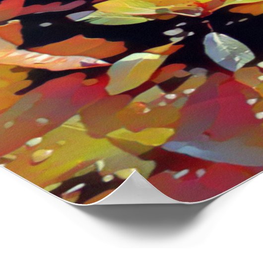 Poster Lillies d'eau (Coin)