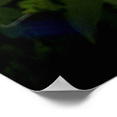 Poster Lillies roses (Coin)