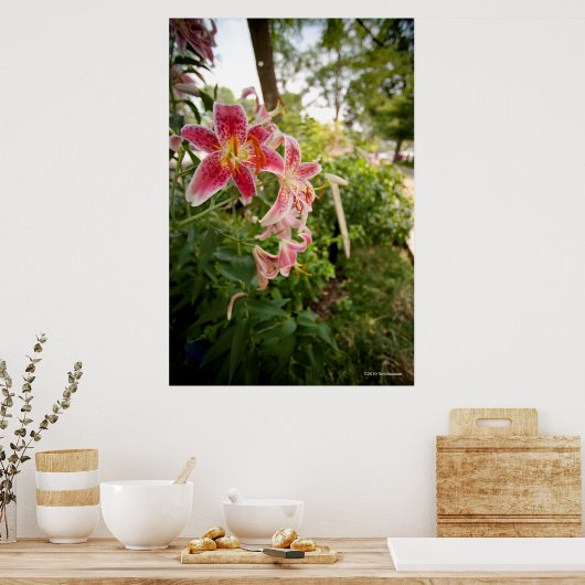 Poster Lillies roses (Cuisine)