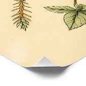 Poster L'Illustration (Coin)