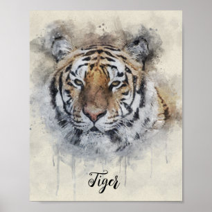 Poster L'illustration de l'aquarelle Tiger Look