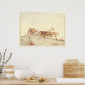Poster L'illustration du livre d'insectes DECTICUS FACE B (Cuisine)