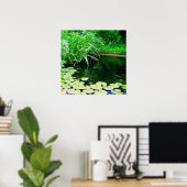 Poster lilly pond, www.zazzle.com/jbpeanut (Bureau à domicile)