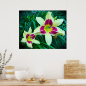 Poster Lily, (Cuisine)